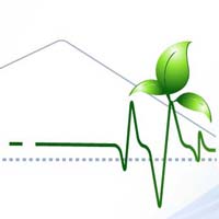 筋骨疼痛保健散使用注意事项